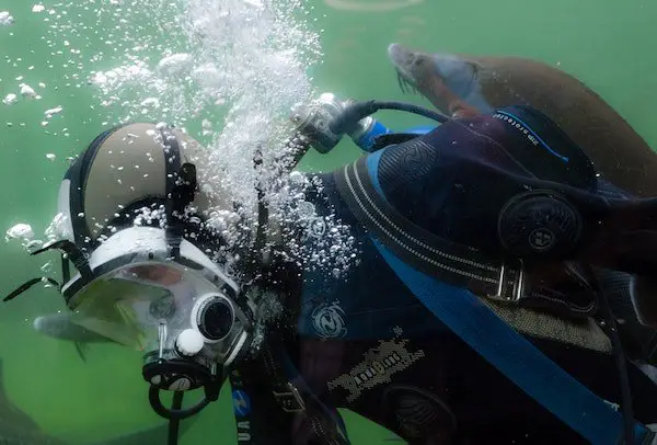 Choosing a scuba regulator Choosing a scuba regulator
