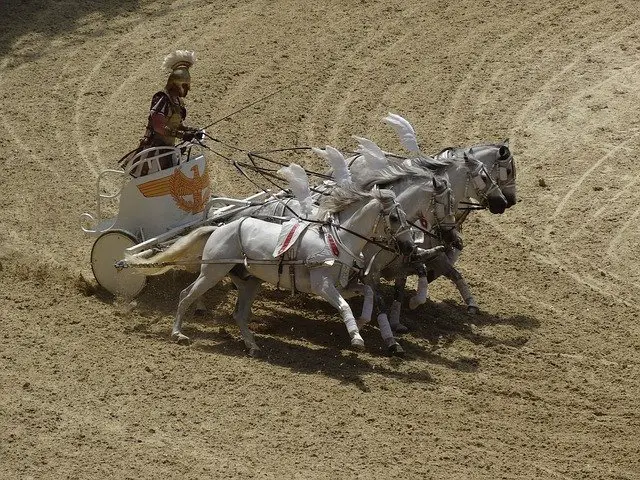Man riding chariot with horse