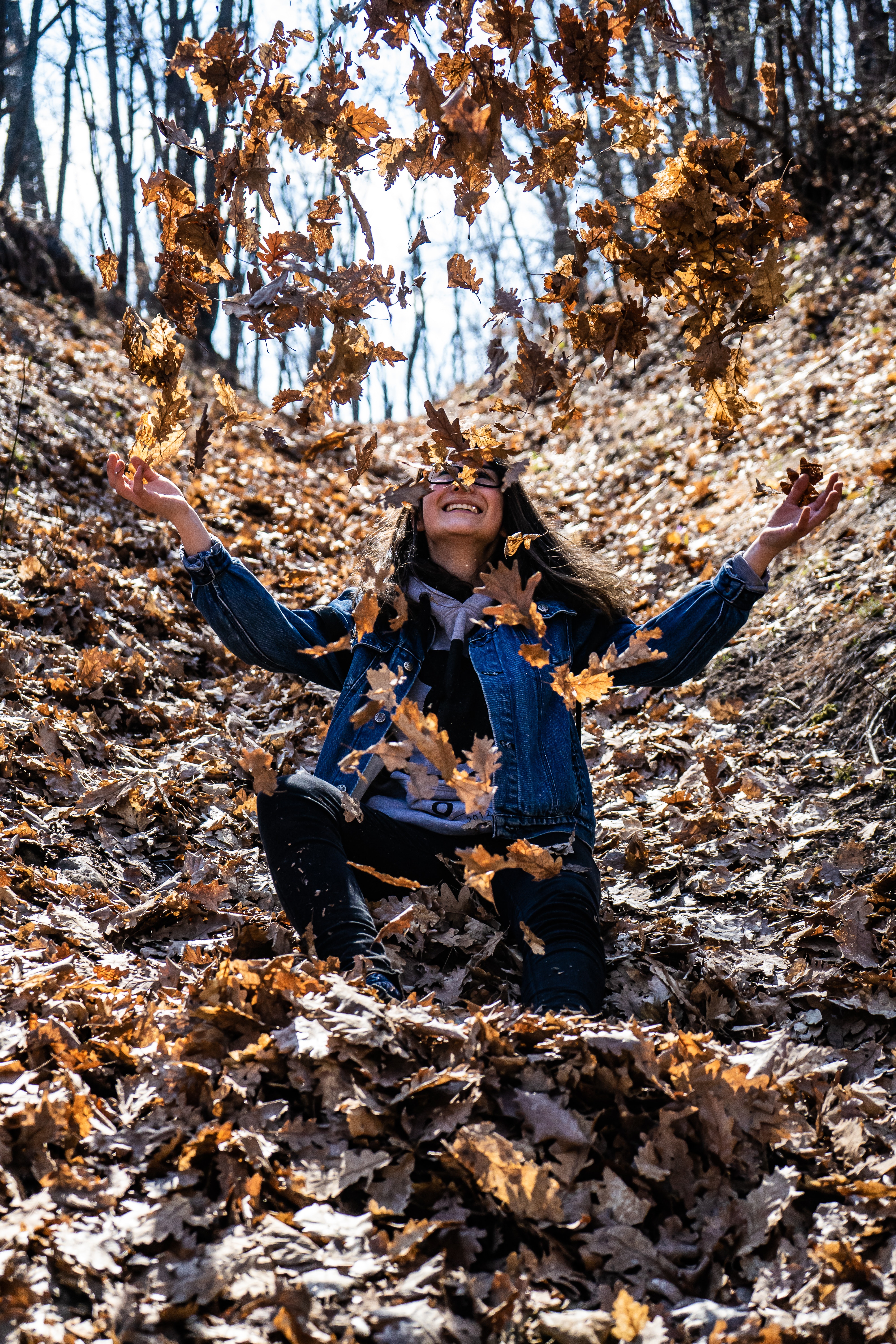 autumn-daylight-daytime-2517254