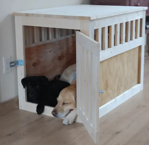 avery-and-nala-2