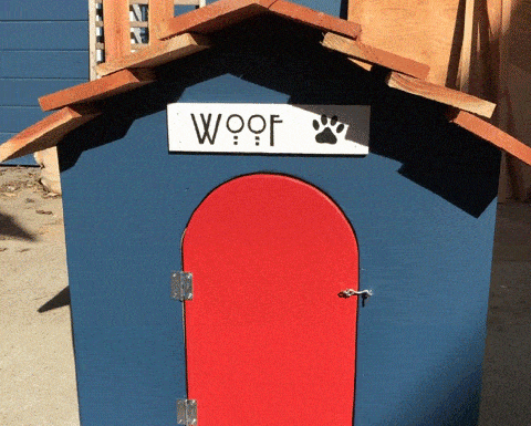 photo-doghouse-bryan-2-480x385